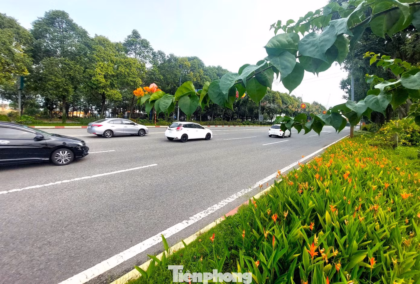 tp-thanh-pho-khoa-hoc-4.jpg