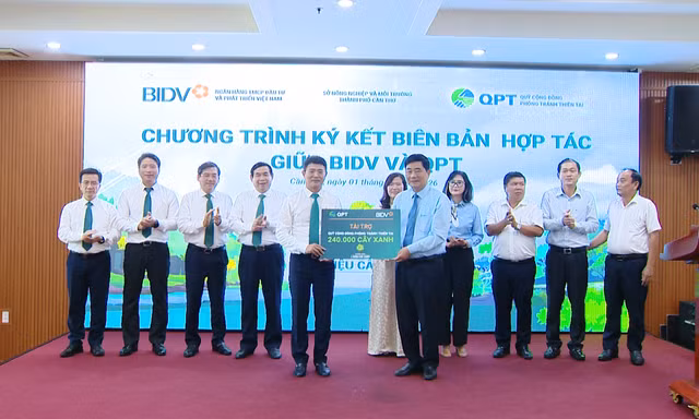 BIDV và Quỹ Cộng đồng phòng tránh thiên tai trồng 240.000 cây xanh tại Đồng bằng sông Cửu Long
