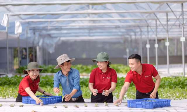 Agribank - Khẳng định vai trò ngân hàng thương mại chủ lực, tiên phong đồng hành cùng nền kinh tế