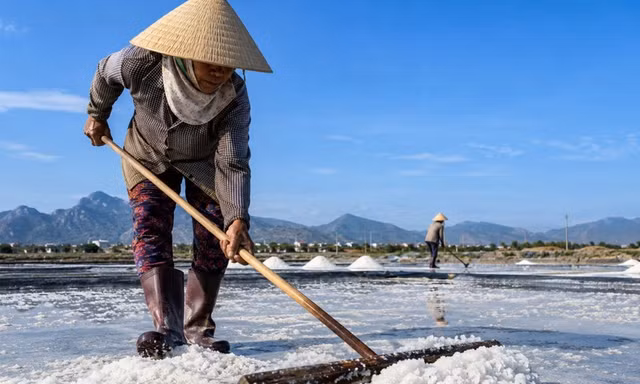 Hạt muối Ninh Hải bước vào chuỗi giá trị