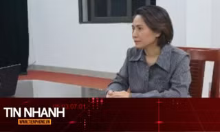 TIN NHANH: Nhà sản xuất 'Về đây bốn cánh chim trời' đối mặt với hình thức xử lý nào?