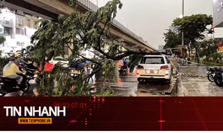 TIN NHANH: Vì sao dông lốc đôi khi nguy hiểm hơn cả bão?