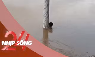 NHỊP SỐNG 24: Tranh luận câu chuyện cứu bé trai 'mắc kẹt' dưới sông Lam