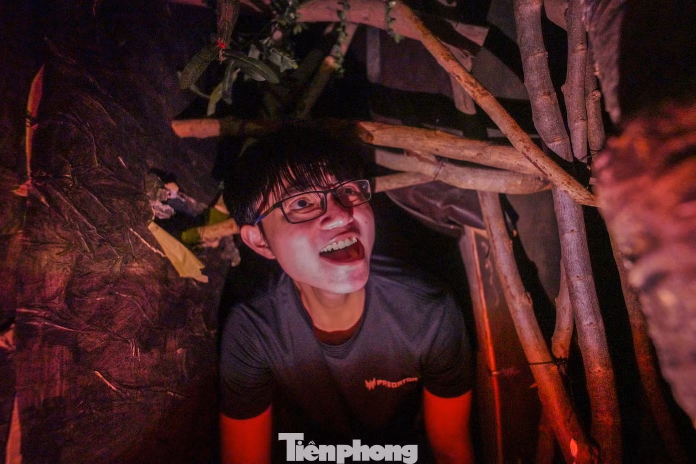 tp-ld-1.jpg