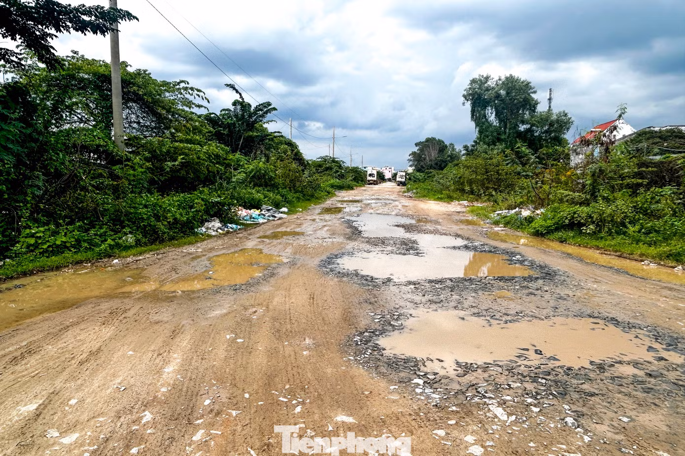 tp-ld-1-4.jpg