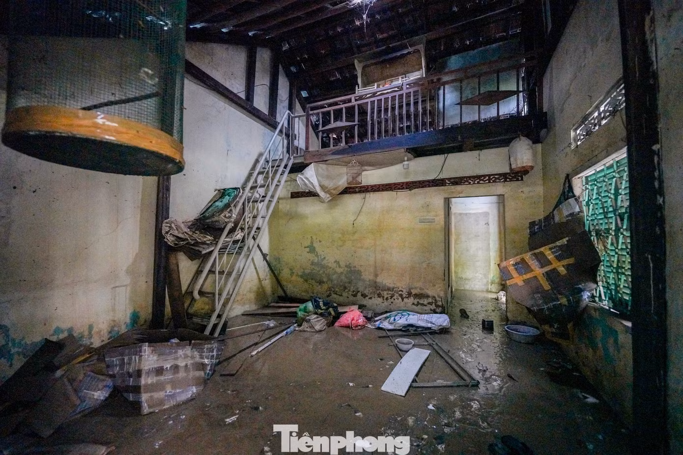 tp-ld-1-43.jpg