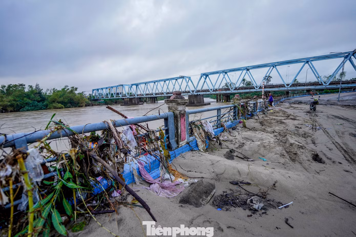 tp-ld-1-48.jpg