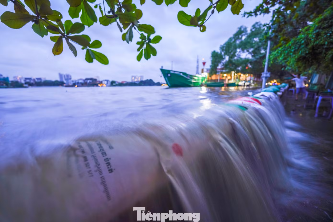 tp-ld-1-50.jpg
