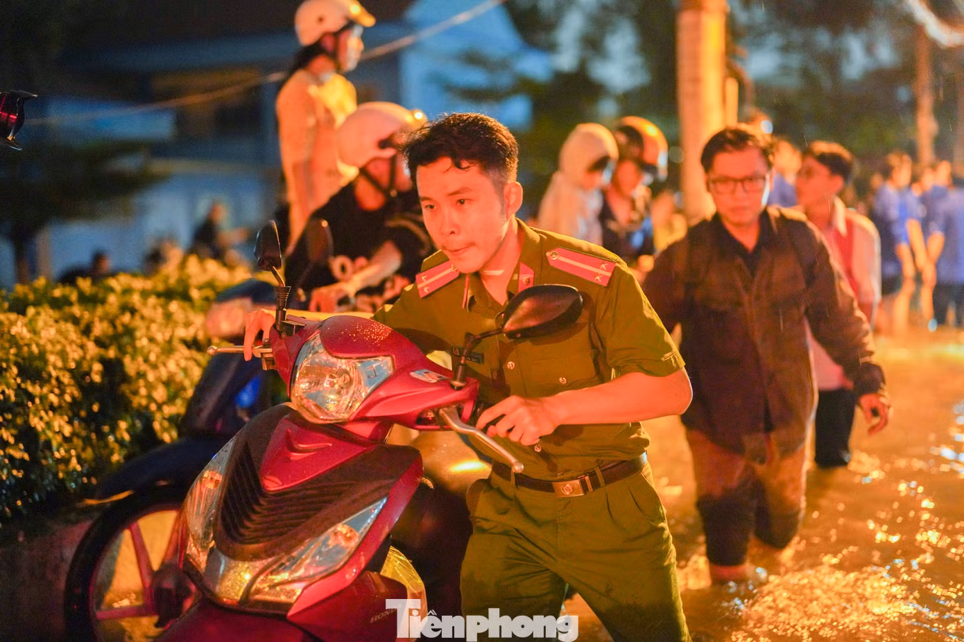tp-ld-1-71.jpg