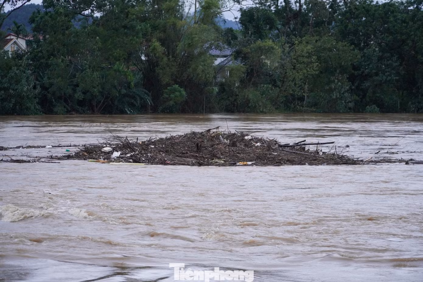 tp-anh-ngap.jpg