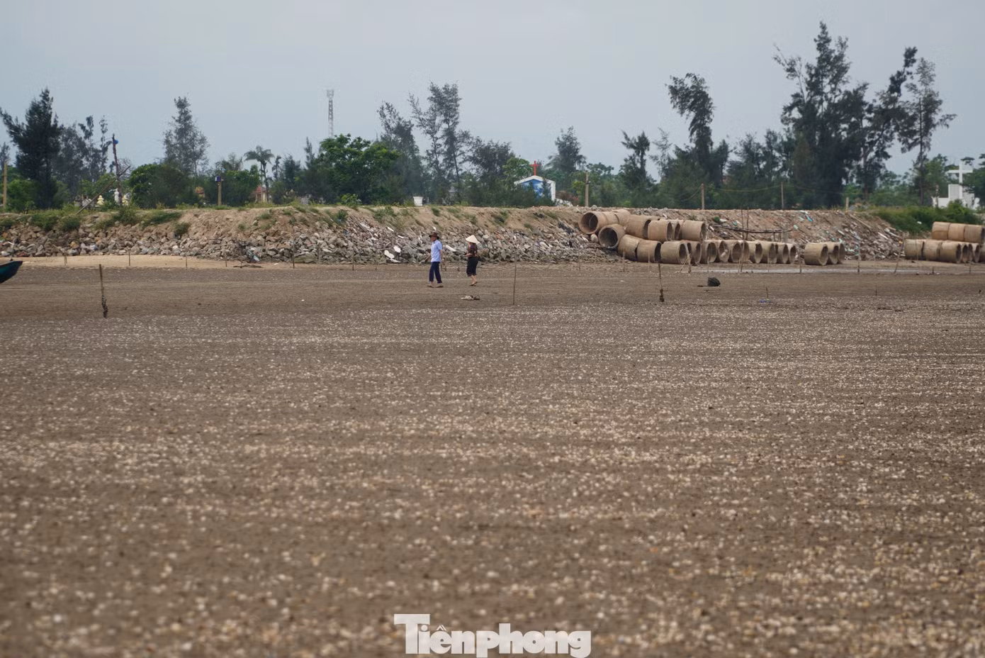 tp-duong-skhs.jpg