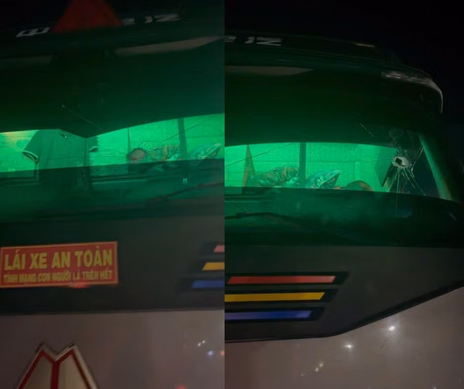 597634730-1574892417426910-6011939181089111057-n.jpg