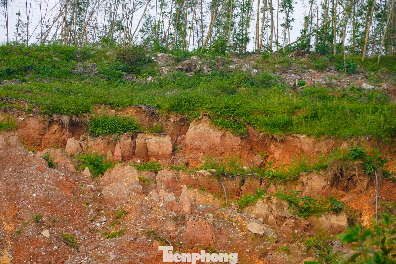 tp-st-298202.jpg