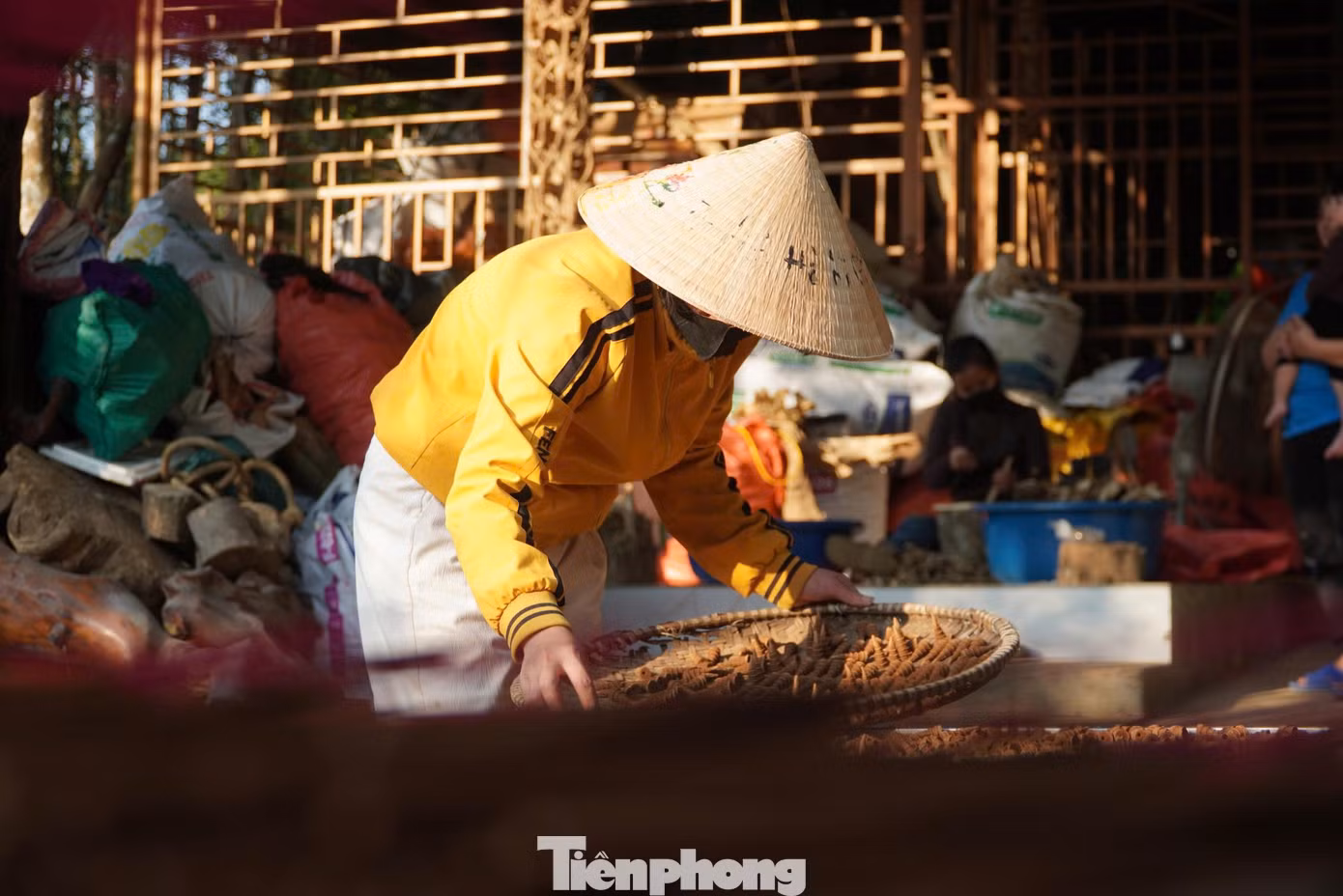 tp-tram-huong-0987.jpg