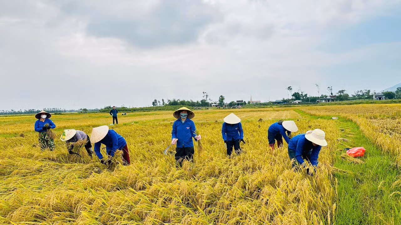 1273196612539157642.jpg