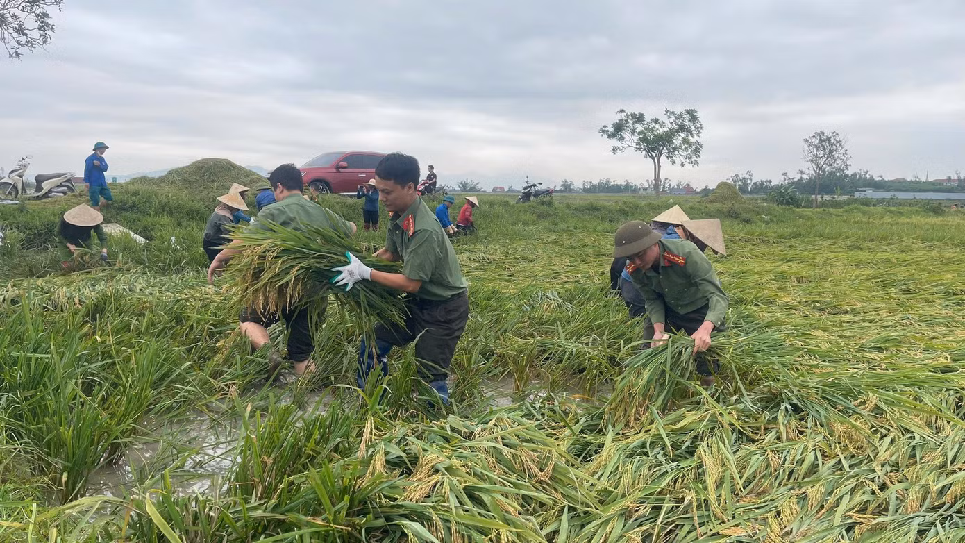 690687788-1290351116643589-4368624410292690968-n.jpg