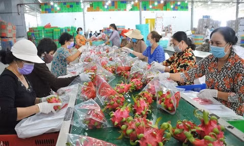 Quy định mới về truy xuất sản phẩm của Trung Quốc tác động gì tới hàng Việt?