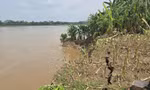đường bê tông ngõ xóm, tường rào bị nứt.