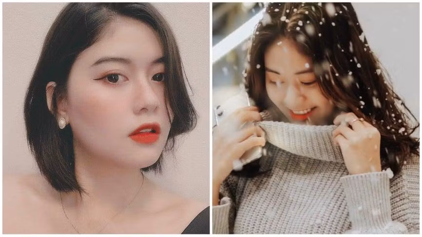 Một bông hoa của đá đến từ trường Xây 
