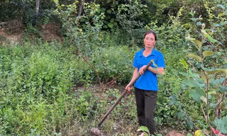 Chị Vinh không chỉ là điển hình làm kinh tế giỏi mà còn giúp nhiều người khác vươn lên thoát nghèo.