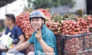 Cây vải thiều giúp nhiều nông dân ở Lục Ngạn làm giàu.