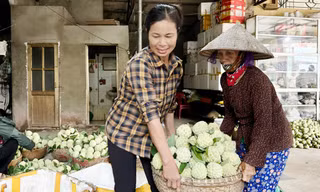 Cây na giúp nhiều người dân tỉnh Bắc Ninh thoát nghèo, làm giàu