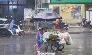 TPHCM sắp có mưa trái mùa