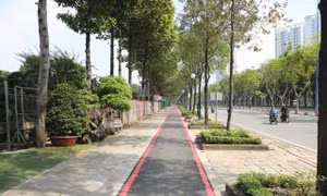 Làn đường dành riêng cho xe đạp đầu tiên ở TPHCM được khai thác từ ngày mai
