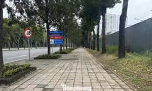 Cận cảnh tuyến đường đầu tiên ở TPHCM sẽ cải tạo thành làn xe đạp 