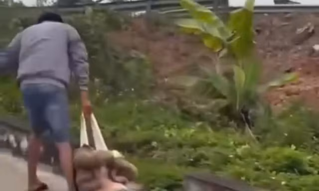 Cô gái bị bạn trai kéo lê ở Hải Phòng: Bạo lực trong các mối quan hệ tình cảm có chiều hướng tăng