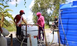 Cần Thơ lên phương án chống thiếu nước do hạn mặn mùa khô