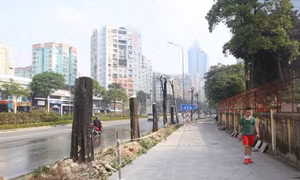 Hà Nội xén vỉa hè, chặt chuyển cây xanh