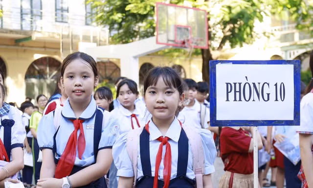 Để bảo đảm tính khách quan và công bằng, Sở Giáo dục và Đào tạo TP.HCM xây dựng đề khảo sát thống nhất. Đối với Trường THCS-THPT Trần Đại Nghĩa, Sở trực tiếp tổ chức kỳ khảo sát từ khâu ra đề, coi thi, chấm thi đến phúc khảo. Với bốn trường còn lại, chính quyền địa phương chịu trách nhiệm tổ chức kỳ khảo sát theo hướng dẫn chuyên môn của Sở.