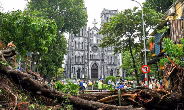 Siêu bão Ragasa di chuyển rất nhanh, Bộ Văn hóa chỉ đạo bảo vệ di tích lịch sử
