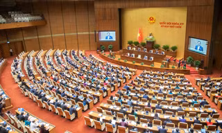 Lý do kiến nghị Quốc hội không chất vấn trực tiếp các trưởng ngành tại kỳ họp tới