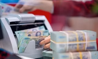 Phấn đấu thu ngân sách nhà nước năm 2025 tăng ít nhất 25% so với dự toán
