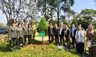 Chung tay trồng cây thực hiện chiến lược tăng trưởng xanh và phát triển bền vững