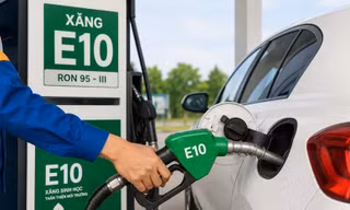 Thí điểm một số chính sách về xăng E10