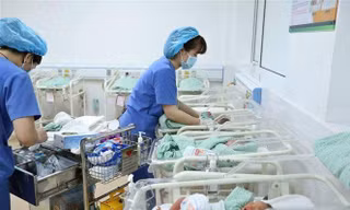 Cán bộ, đảng viên tiên phong, gương mẫu trong việc sinh con