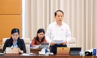 Không có trường hợp nào Viện Kiểm sát truy tố nhưng Tòa án sơ thẩm tuyên không phạm tội