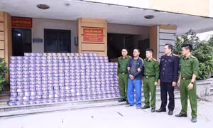 Vận chuyển gần 710kg pháo nổ ngụy trang dưới sắn khô