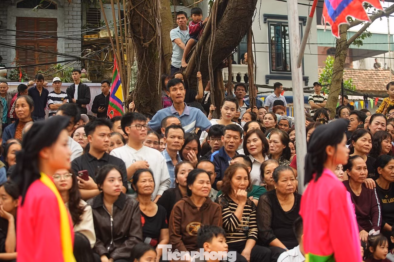 tp-tho-ha-up-bai-anh-17b.jpg