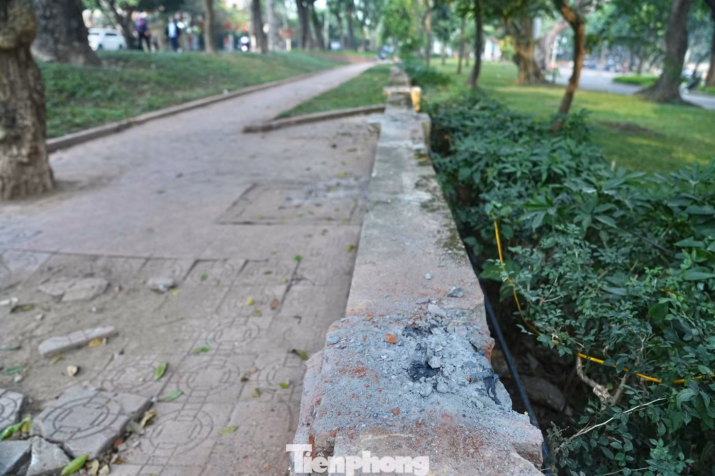 tp-anh-7.jpg