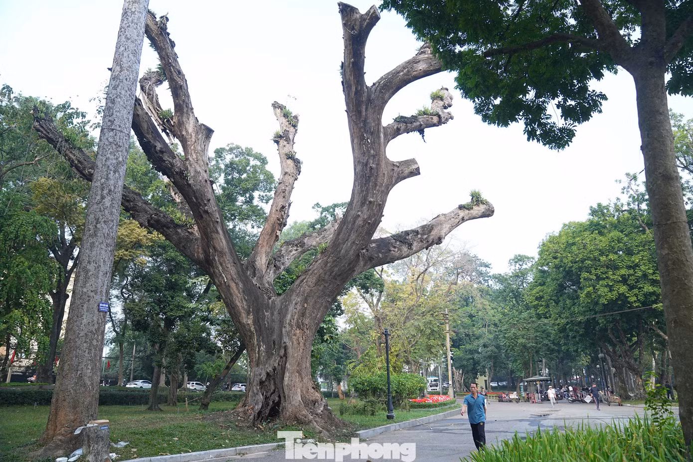 tp-anh-28.jpg