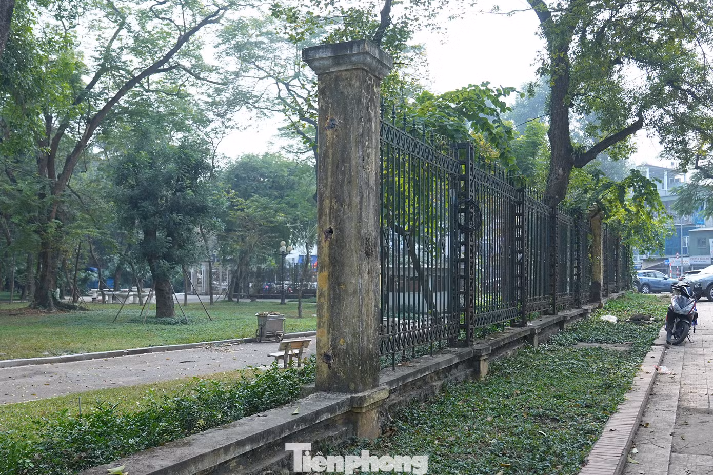 tp-anh-12.jpg