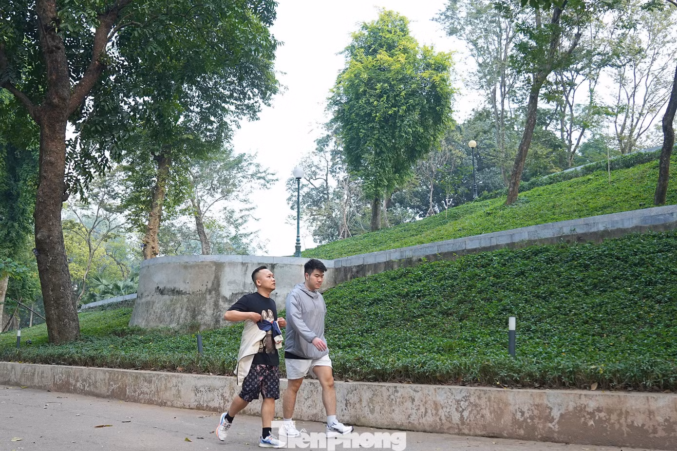 tp-anh-26.jpg