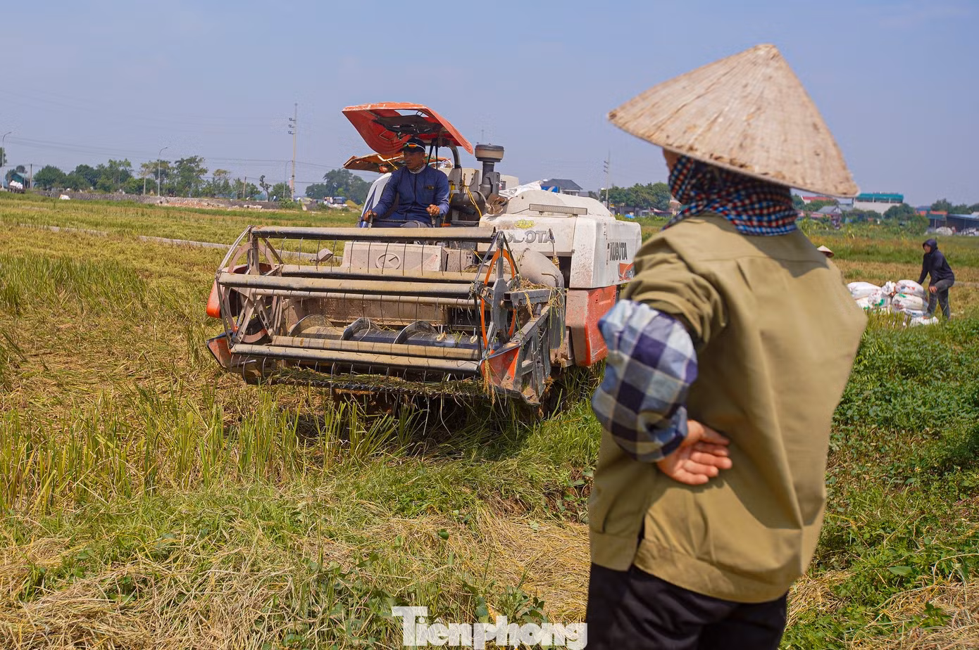 tp-lua-chay-bao-anh-4.jpg