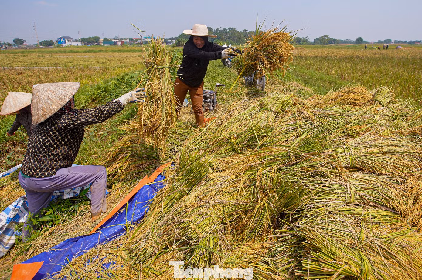 tp-lua-chay-bao-anh-6b.jpg