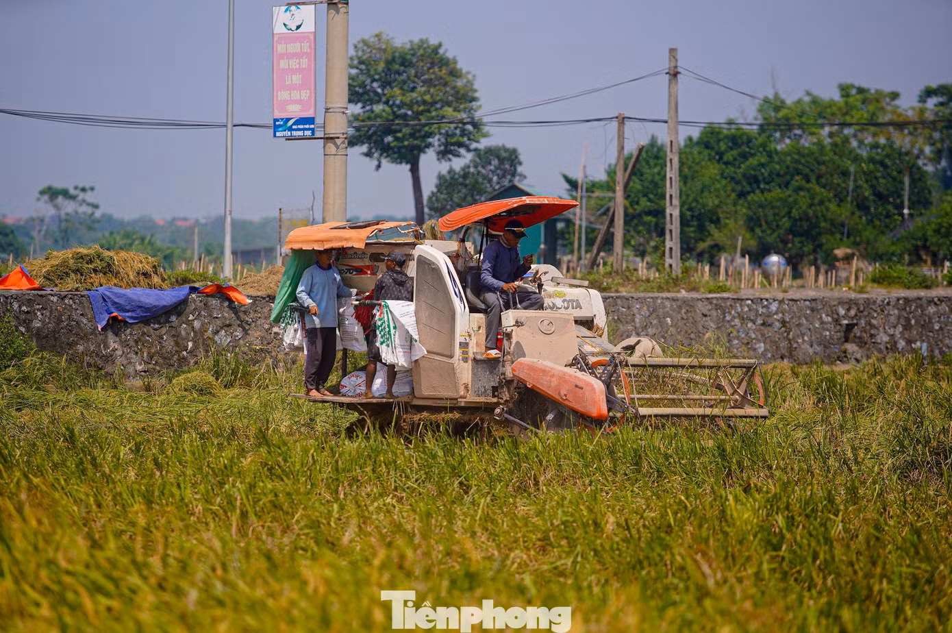 tp-lua-chay-bao-anh-5c.jpg