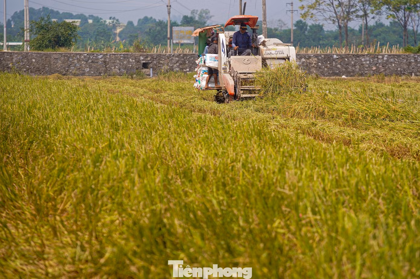 tp-lua-chay-bao-anh-5b.jpg